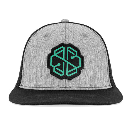 SwissBorg Grey Snapback Cap front