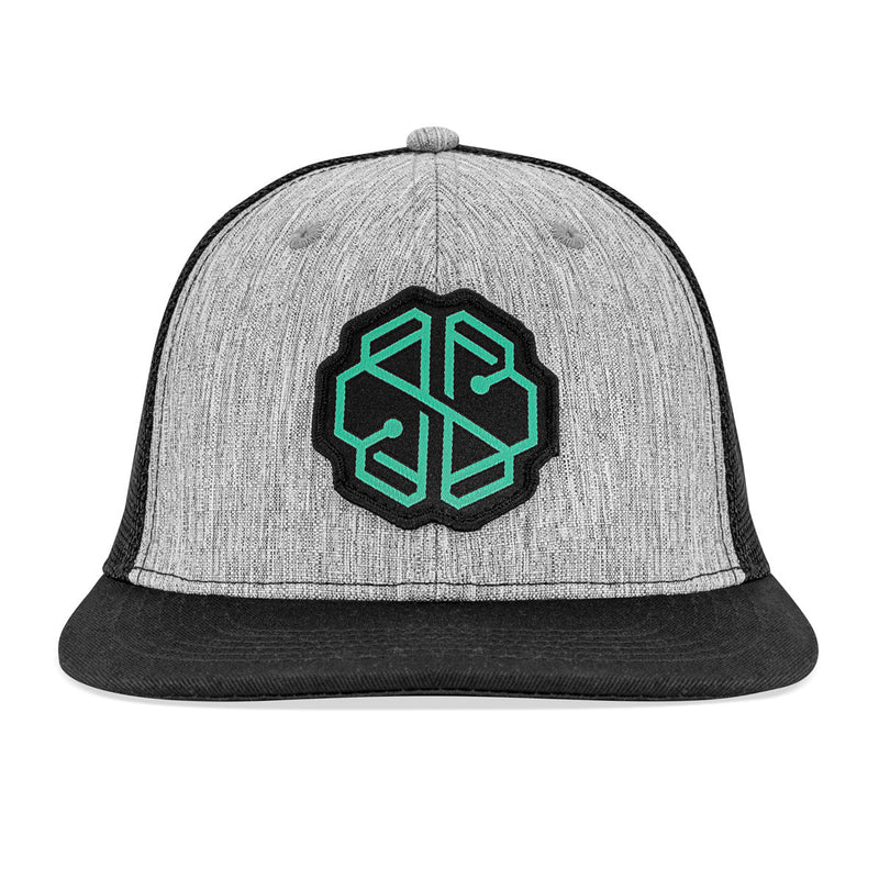 SwissBorg Grey Snapback Cap front