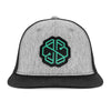 SwissBorg Grey Snapback Cap front