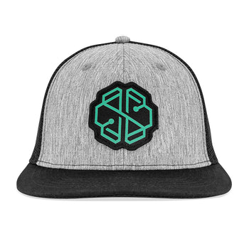 SwissBorg Grey Snapback Cap front