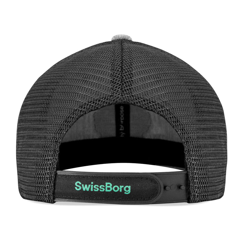 SwissBorg Grey Snapback Cap back